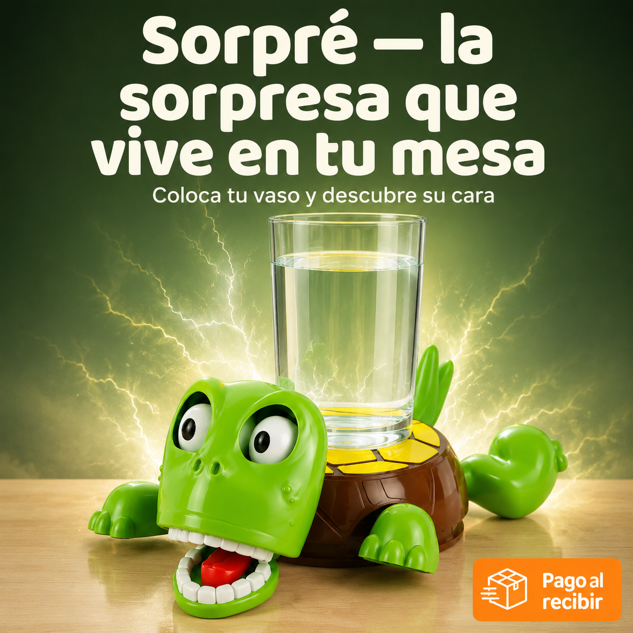 Porta Vaso De Tortuga - 124865 — vista 1