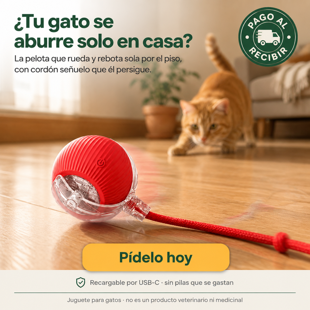Pelotas Interactivas Para Gatos Recarga - 6700 — vista 1