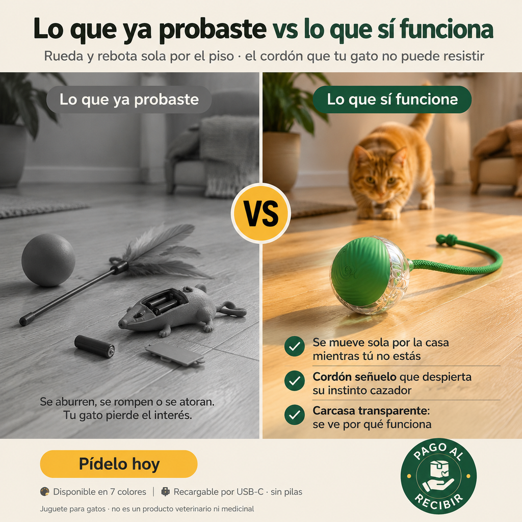 Pelotas Interactivas Para Gatos Recarga - 6700 — vista 2