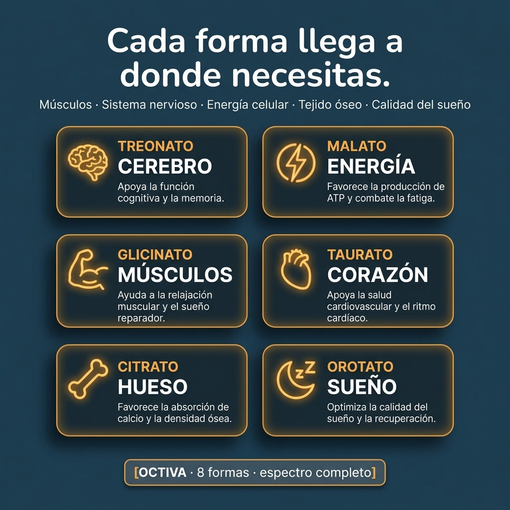Magnesium Complex Supplement - id1097 — vista 3