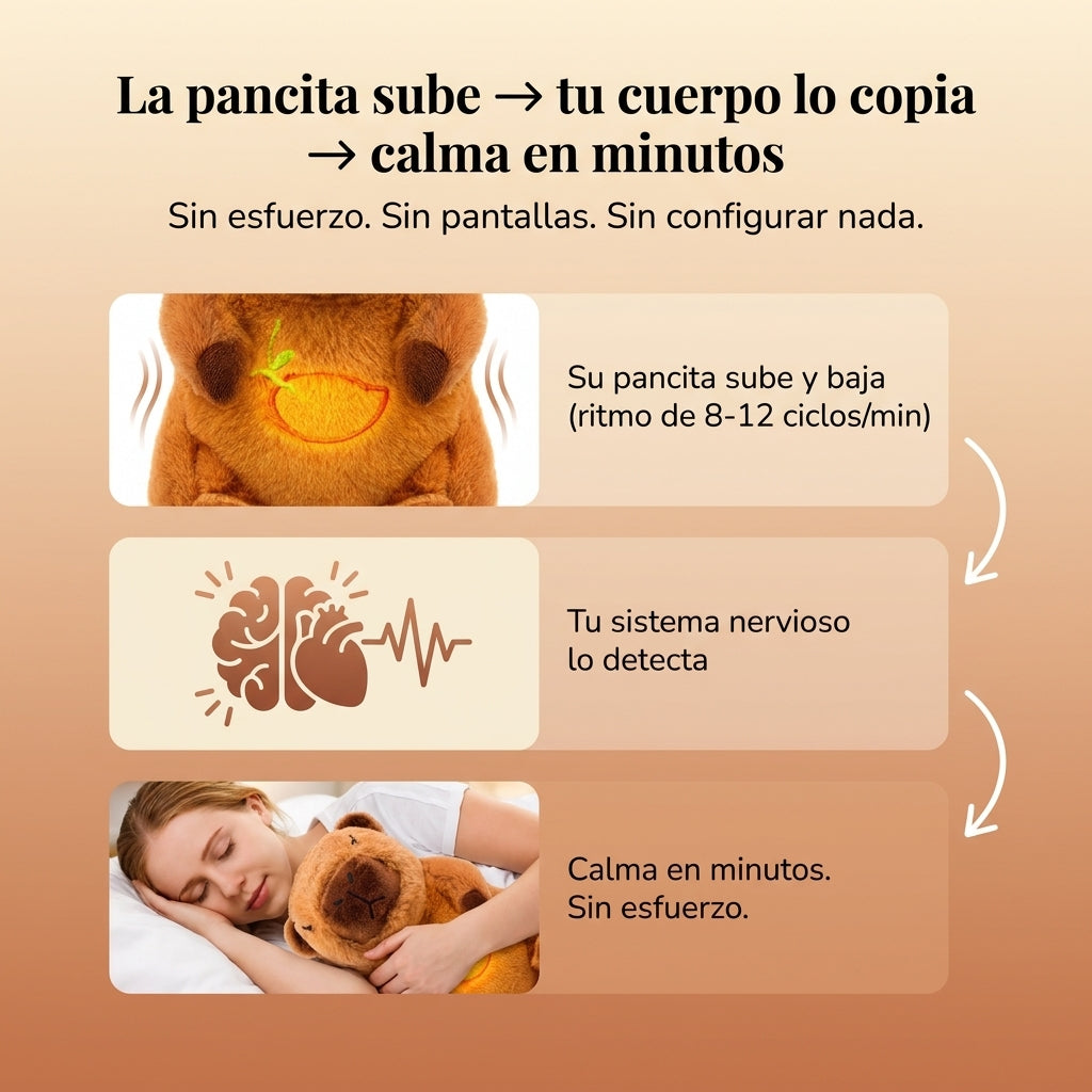 Juguete Capibara Respiracion Anti Estres - id34986 — vista 4