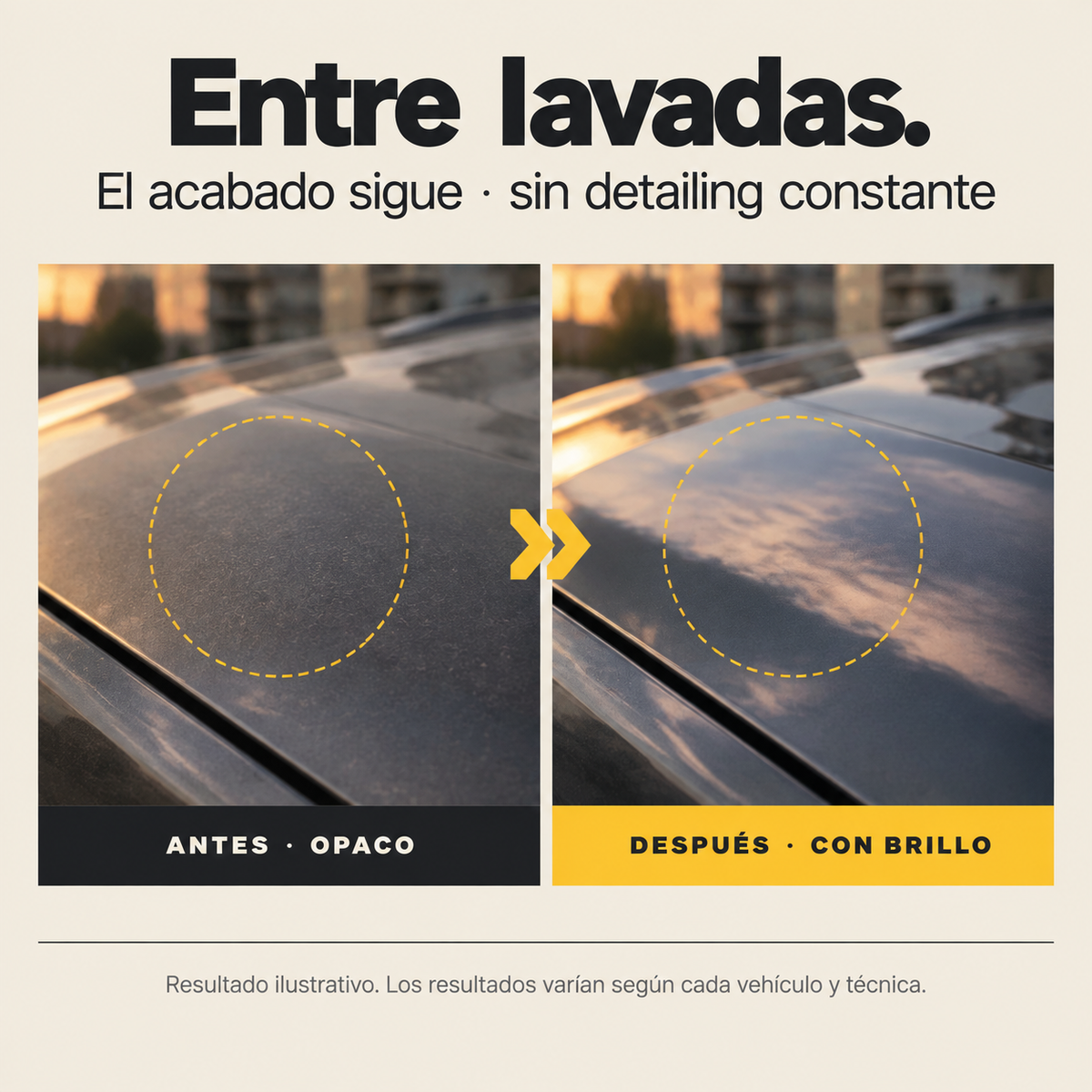 LAVADO EN SECO - 1920912 — vista 5