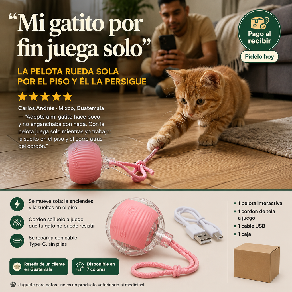 Pelotas Interactivas Para Gatos Recarga - 6700 — vista 6