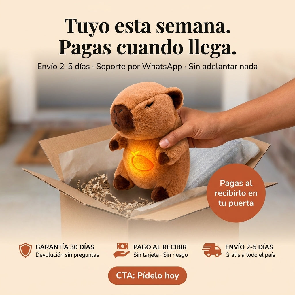 Juguete Capibara Respiracion Anti Estres - id34986 — vista 7