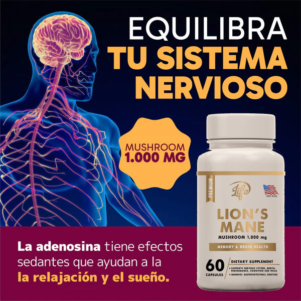 NeuroMax Lion's Mane™ – El hongo que reconstruye tu cerebro y multiplica tu inteligencia en 30 días